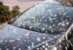 Une voiture qui est sale car elle n'a pas de housse